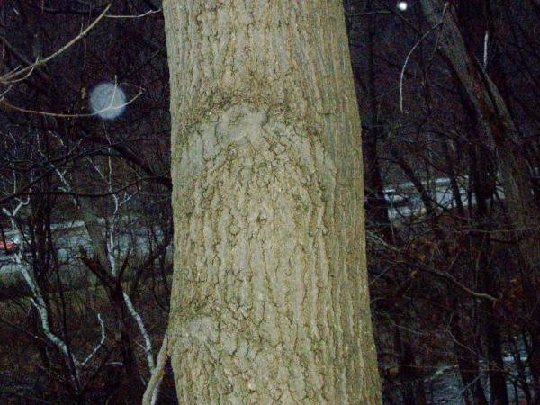 l_14ca57efa5a542b09a3131651c35ec35