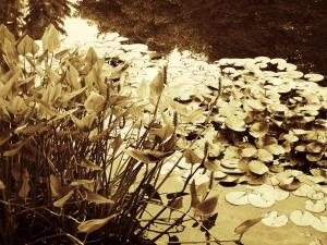 l_ea06a56891c34beb8f009e3e052b66db