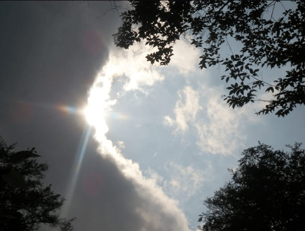 light not an evanescence