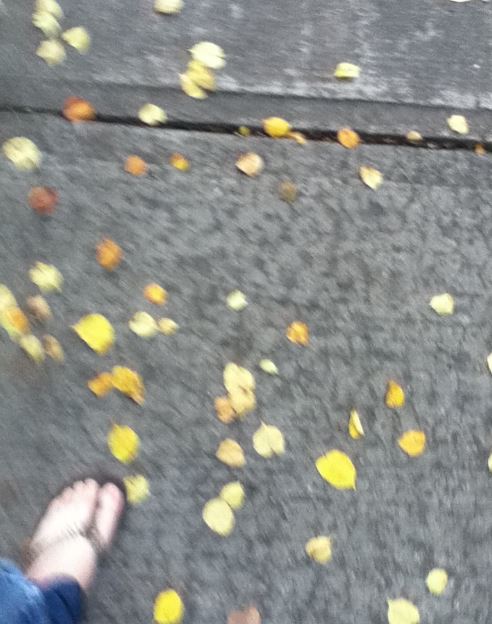 in the right direction