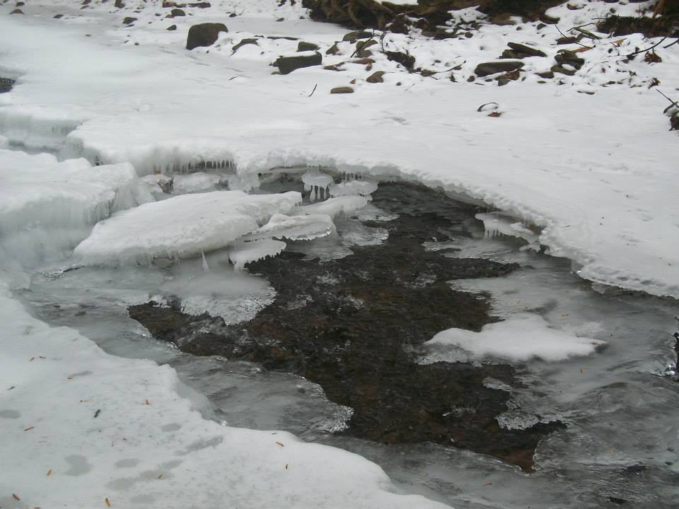 1607032_218349781701762_706274684_n