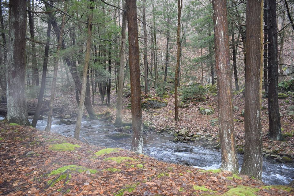 47687637_905814886288578_3889604503032299520_n